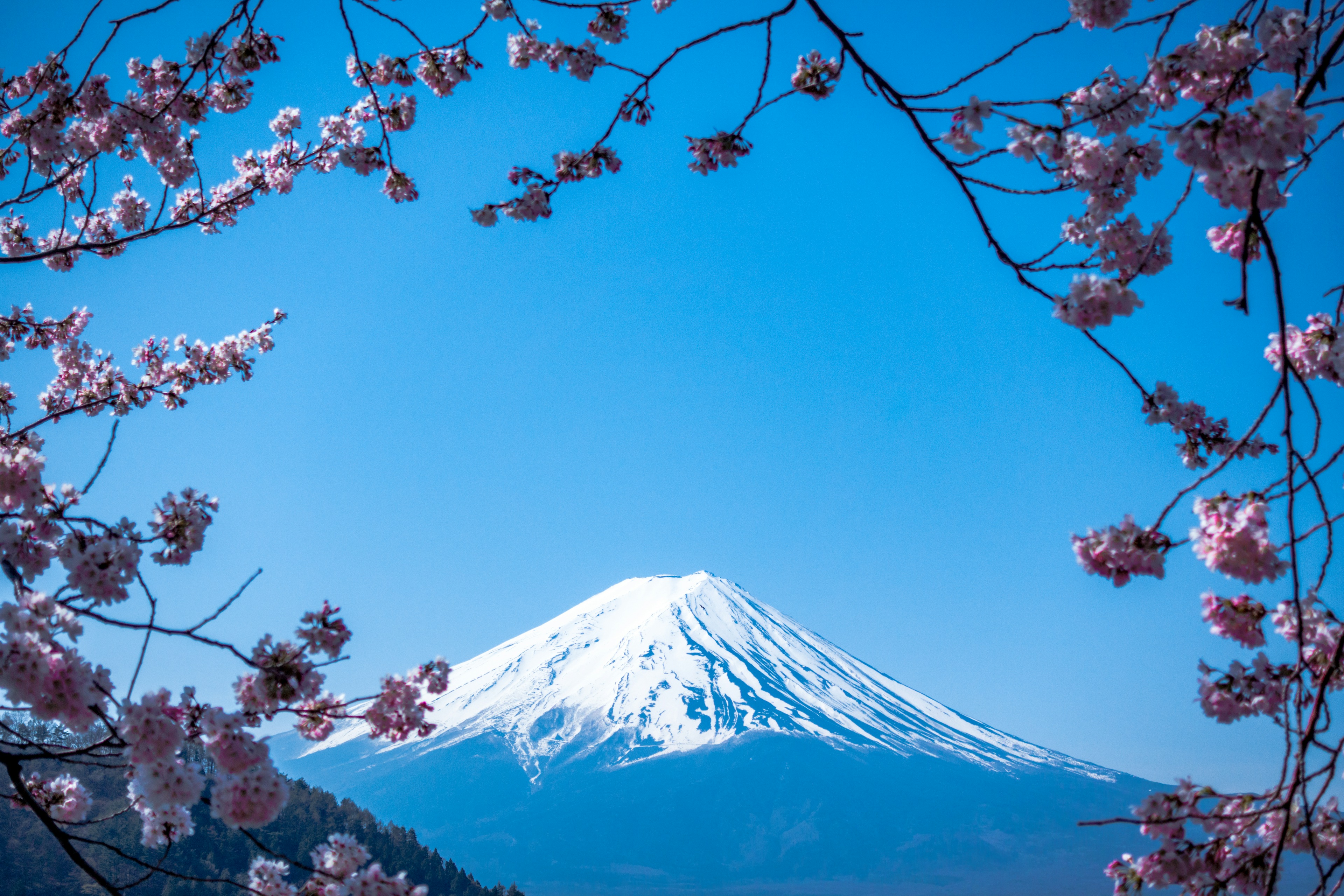 Kyoto Arashiyama Bamboo Tour - Snow-capped Mount Fuji reflected in the calm waters of Lake Kawaguchiko Japan