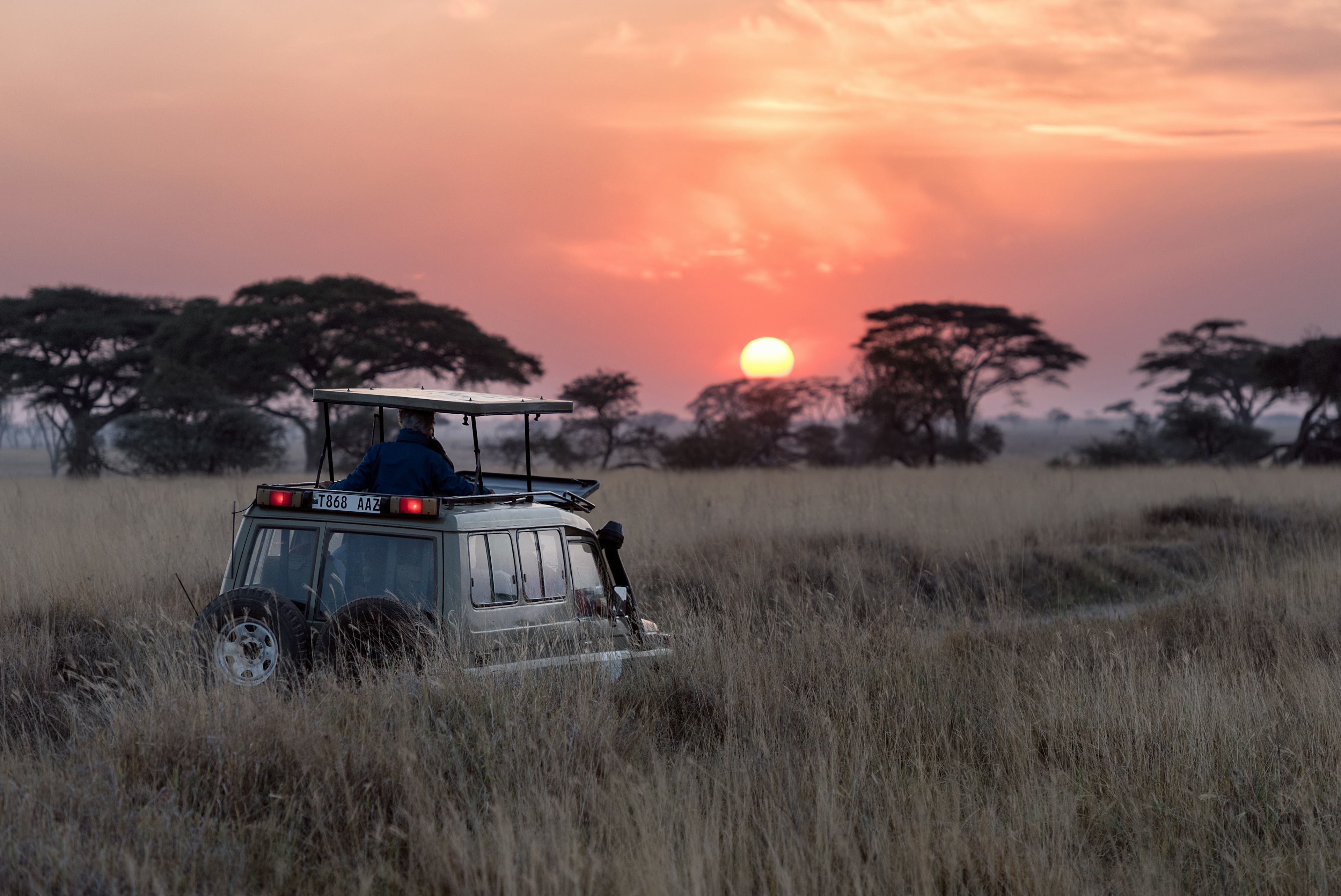 Serengeti Balloon Safari: Sunrise Flight & Big Five Game Drive 2026 Guide